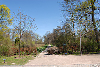 Jinmo KANG, Tree Portrait, 2009, Museum Biedermann, Germany