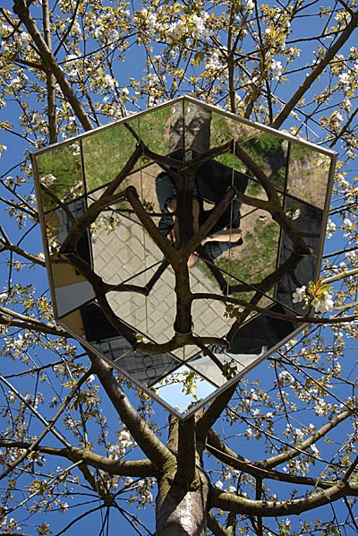 Jinmo KANG, Jinmo KANG, Tree Portrait, 2010, Museum Biedermann Germany Jinmo KANG, Tree Portrait, 2010, Museum Biedermann Germany